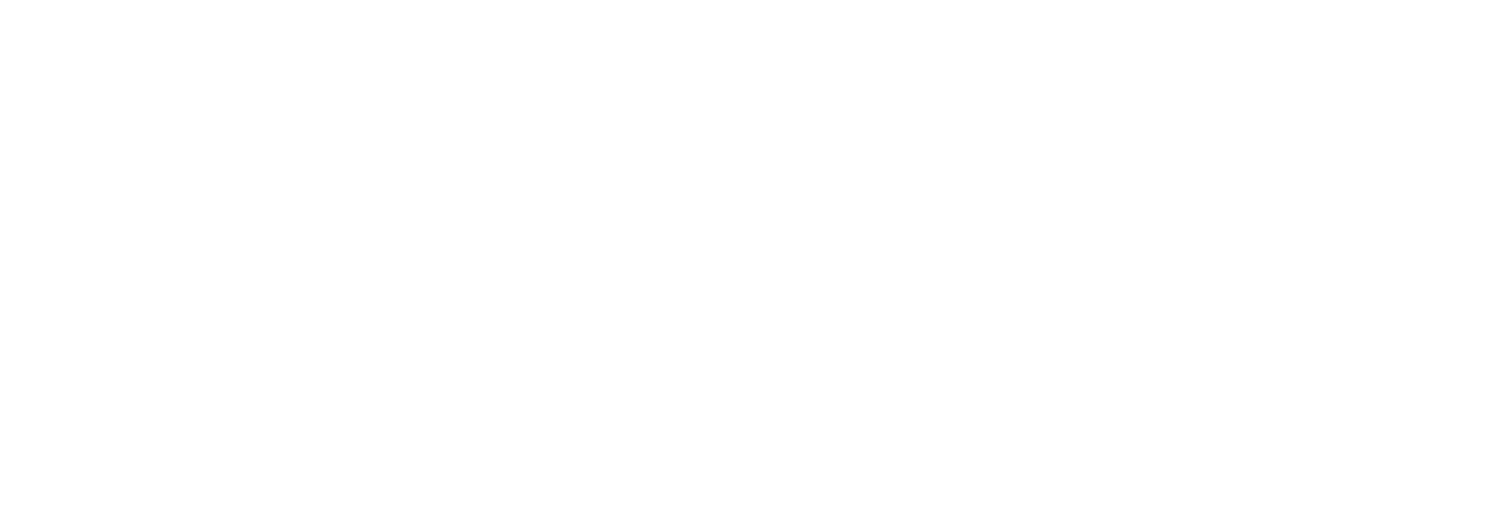 logo light